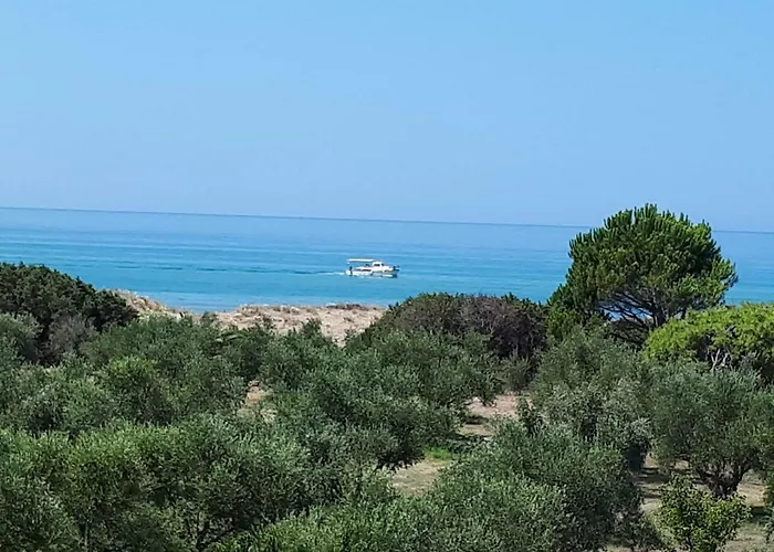 Ktima βilioni * Zacharo