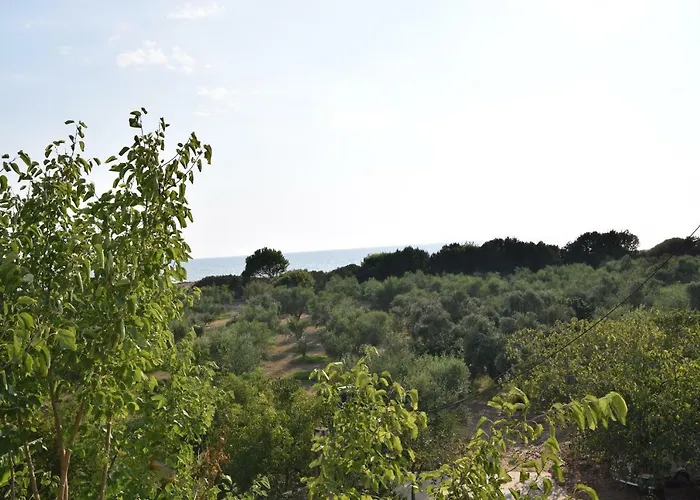 Ktima βilioni * Zacharo