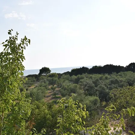 Ktima βilioni * Zacharo