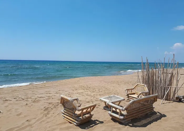 Ktima βilioni * Zaháro