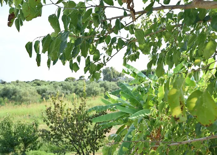 Ktima βilioni * Zaháro